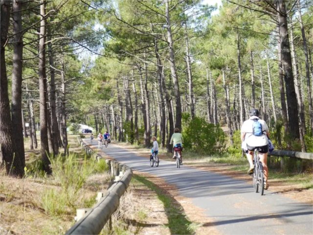 alt="Appartement dans la Pinède – Vue extérieure velo-foret-lacanau"