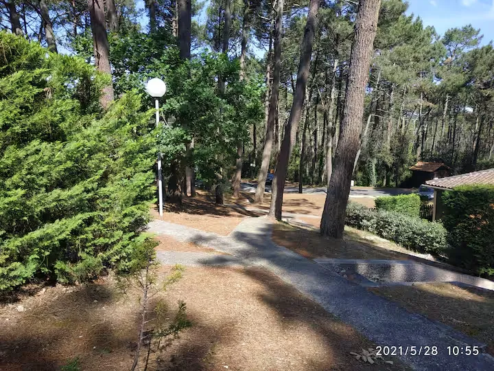 Maisonnette sous les pins à Lacanau