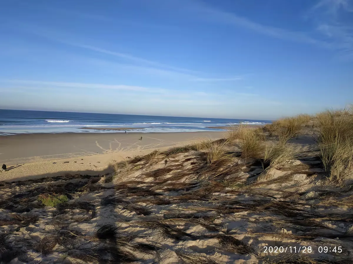 T2 Front de Mer avec Parking, location de vacances à Lacanau