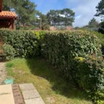 Hébergements pinède forêt landaise Lacanau