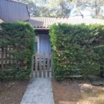 Location maison pinède Lacanau - Petite maison sous les pins