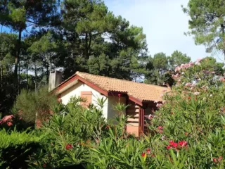 exterieur 31 11zon