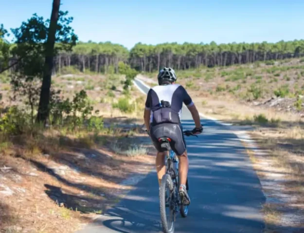 De nombreuses pistes cyclables 8 11zon 1024x786