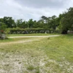 Extérieur dans la forêt