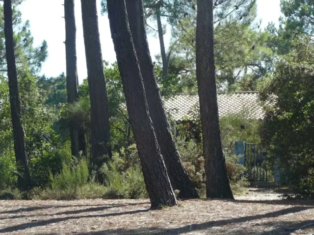 Vue sur la maison bleue depuis la plage 35 11zon 1024x768