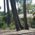 Vue lac depuis la terrasse