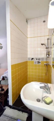 coin toilette de la chambre 1 douche et lavabo 6 11zon 461x1024