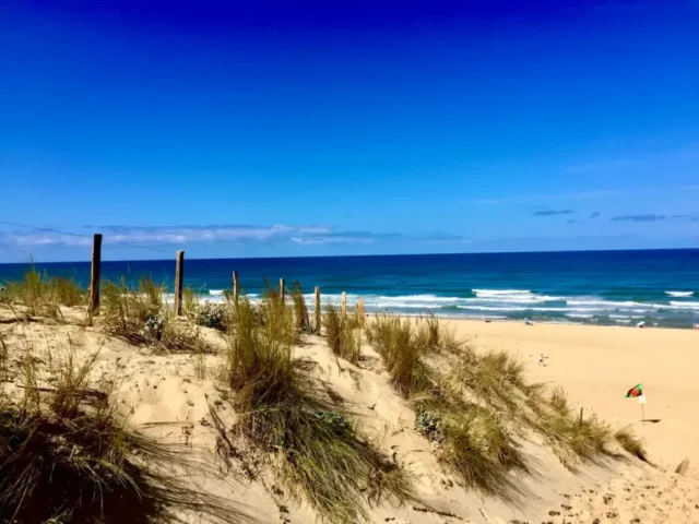plage lacanau ocean 24 1024x768
