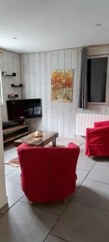 salon2 62 11zon 461x1024