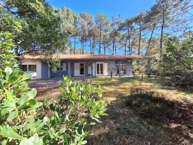 1e9324f0 987e 4cf4 960d 0f6d1326e370 1 11zon