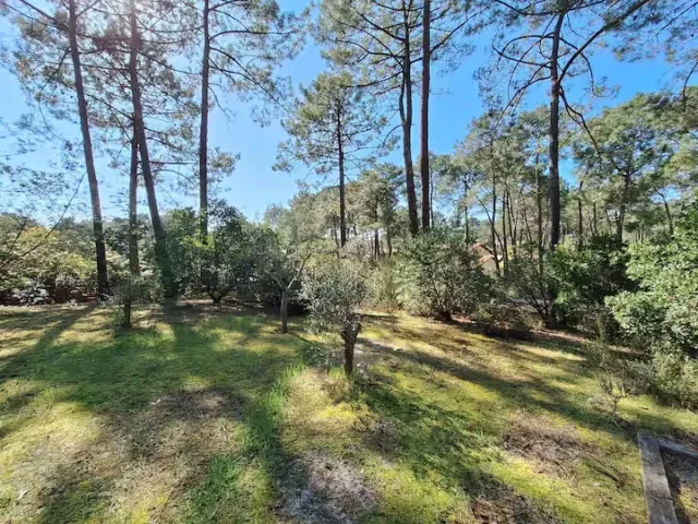 4728a569 0345 4d34 b143 03af7acaeb7b 13 11zon