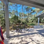 Jardin sous les pins Lacanau