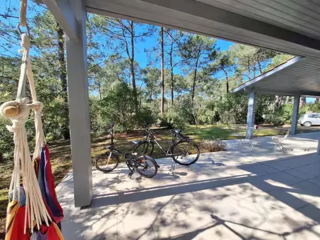 65005844 7418 4d22 bdae 8f2dab909dda 17 11zon