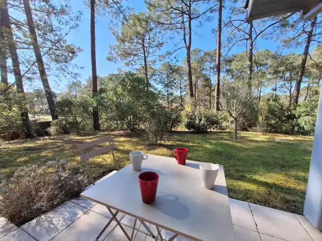 702c07ca be69 4ae5 bebe ae2658c24522 11 11zon