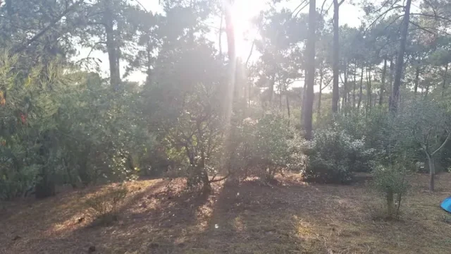 99879c82 351d 4957 a3d1 e393c45f25fe 15 11zon