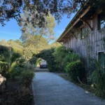 Villa luxe 6 chambres piscine Lacanau Océan façade extérieure