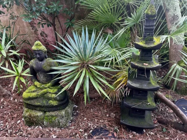 WhatsApp Image 2026 03 08 at 16.12.43 4 9 11zon 1024x768