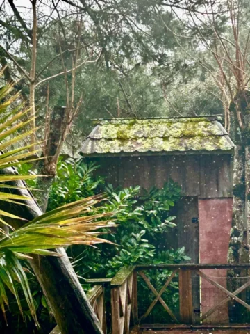 WhatsApp Image 2026 03 08 at 16.12.44 5 17 11zon 768x1024