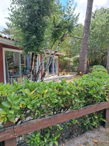 WhatsApp Image 2026 03 30 at 18.02.42 7 11zon 768x1024