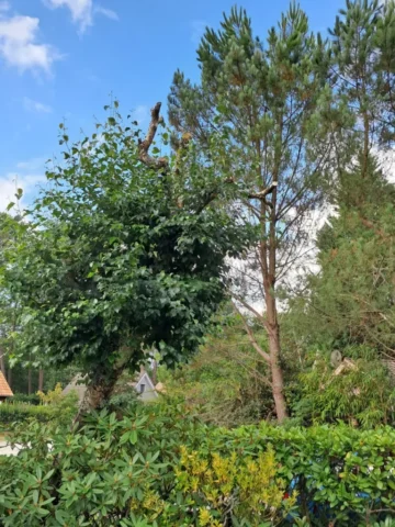 WhatsApp Image 2026 03 30 at 18.02.43 8 11zon 768x1024