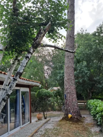 WhatsApp Image 2026 03 30 at 18.02.44 2 10 11zon 768x1024