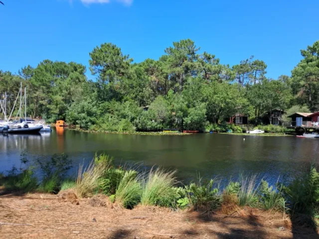 WhatsApp Image 2026 03 30 at 18.02.45 1 12 11zon 1024x768