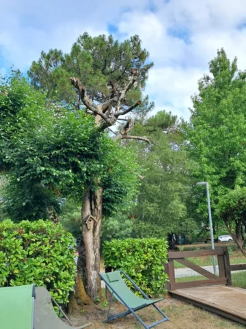 WhatsApp Image 2026 03 30 at 18.02.45 2 13 11zon 768x1024