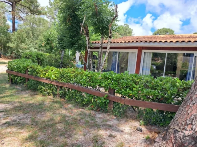 WhatsApp Image 2026 03 30 at 18.02.45 4 15 11zon 1024x768