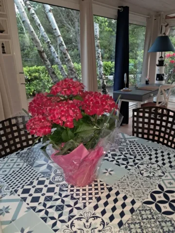 WhatsApp Image 2026 03 30 at 18.02.47 2 24 11zon 768x1024