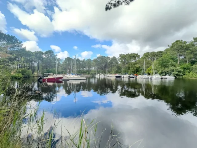 WhatsApp Image 2026 03 31 at 07.53.26 4 3 11zon 1024x768