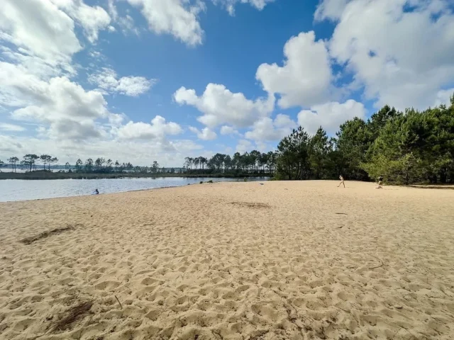 WhatsApp Image 2026 03 31 at 07.53.27 2 11zon