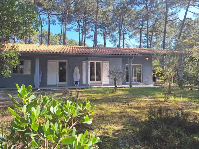 db420916 6036 42fe 99ad 9d78e488d736