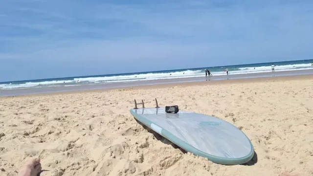 df8e8d74 1b11 4c27 8946 e638b20c948e 22 11zon